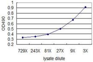 Standard curve using 293T overexpression lysate (non-denatured) as an analyte. (KIT (人) Matched Antibody Pair)