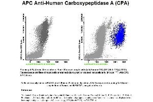 Image no. 1 for anti-Carboxypeptidase A1 (Pancreatic) (CPA1) antibody (APC) (ABIN1112254) (CPA1 抗体  (APC))