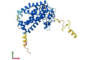 Protein Structure (PS) image for Cholesterol 25-Hydroxylase (CH25H) (AA 1-298) protein (His tag) (ABIN7556342)