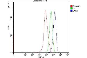 Flow Cytometry analysis of HepG2 cells using anti-Jagged1/JAG1 antibody (ABIN7602727).