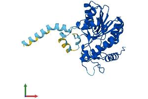 AlphaFold protein structure predicition of Mouse Recombinant Rdh12 Protein, UniprotID Q8BYK4