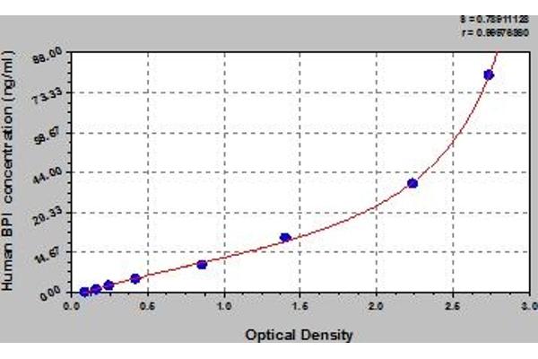 BPI ELISA 试剂盒