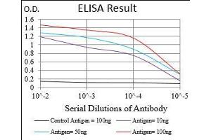 Black line: Control Antigen (100 ng), Purple line: Antigen(10 ng), Blue line: Antigen (50 ng), Red line: Antigen (100 ng), (RAB27A 抗体  (AA 1-221))