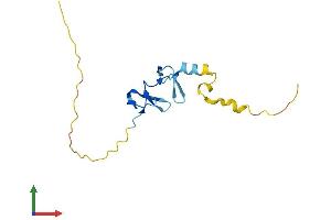 AlphaFold protein structure predicition of Mouse Recombinant Limd2 Protein, UniprotID Q8BGB5
