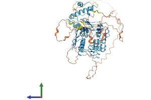 AlphaFold protein structure predicition of Human Recombinant ZNF251 Protein, UniprotID Q9BRH9