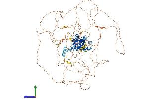 AlphaFold protein structure predicition of Mouse Recombinant Stox1 Protein, UniprotID B2RQL2