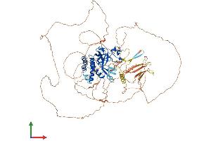 Protein Structure (PS) image for Suppressor of Variegation 4-20 Homolog 1 (SUV420H1) (AA 1-885) protein (His tag) (ABIN7554334)