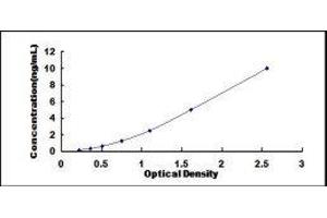Growth Associated Protein 43 (GAP43) ELISA Kit