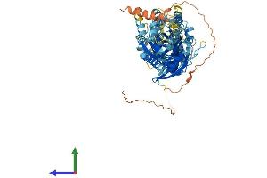 Protein Structure (PS) image for GTPase, IMAP Family Member 8 (GIMAP8) (AA 1-688) protein (His tag) (ABIN7558159)