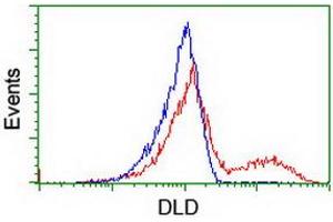 Flow Cytometry (FACS) image for anti-Dihydrolipoamide Dehydrogenase (DLD) antibody (ABIN1497848) (DLD 抗体)