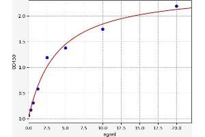 Typical standard curve (BAT3 ELISA 试剂盒)