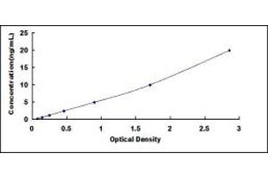 Typical standard curve (K-RAS ELISA 试剂盒)