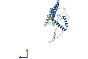 Protein Structure (PS) image for Mediator Complex Subunit 8 (MED8) (AA 1-268) protein (His tag) (ABIN7561099)