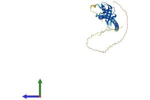 AlphaFold protein structure predicition of Mouse Recombinant Cd72 Protein, UniprotID P21855 (CD72 Protein (AA 1-354) (His tag))
