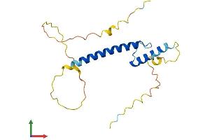 Protein Structure (PS) image for Transcription Factor 21 (TCF21) (AA 1-179) protein (His tag) (ABIN7562319)