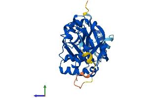 Protein Structure (PS) image for Glycine-N-Acyltransferase-Like 1 (GLYATL1) (AA 1-302) protein (His tag) (ABIN7548118)