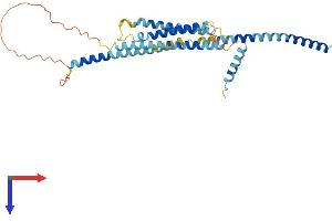 Protein Structure (PS) image for Syntaxin 18 (STX18) (AA 1-335) protein (His tag) (ABIN7544025)