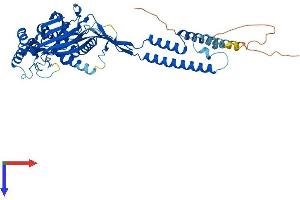ACCN1 Protein (AA 1-512) (His tag)
