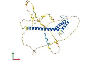 Protein Structure (PS) image for Atonal Homolog 8 (ATOH8) (AA 1-321) protein (His tag) (ABIN7552539)