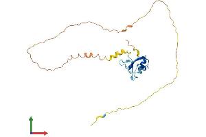 Protein Structure (PS) image for serine/arginine-Rich Splicing Factor 10 (SRSF10) (AA 1-262) protein (His tag) (ABIN7555629)