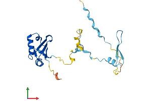 AlphaFold protein structure predicition of Human Recombinant RCAN2 Protein, UniprotID Q14206 (RCAN2 Protein (AA 1-197) (His tag))