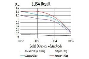 Black line: Control Antigen (100 ng),Purple line: Antigen (10 ng), Blue line: Antigen (50 ng), Red line:Antigen (100 ng) (LAIR1 抗体  (AA 22-165))