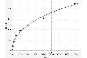 Typical standard curve (SYN1 ELISA 试剂盒)