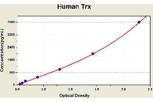Diagramm of the ELISA kit to detect Human Trxwith the optical density on the x-axis and the concentration on the y-axis.