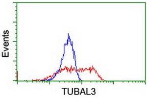 Flow Cytometry (FACS) image for anti-Tubulin, alpha-Like 3 (TUBAL3) (AA 150-446) antibody (ABIN1490957)