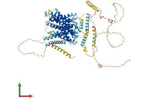 Protein Structure (PS) image for Solute Carrier Family 9 (Sodium/hydrogen Exchanger), Member 4 (SLC9A4) (AA 1-797) protein (His tag) (ABIN7564431)