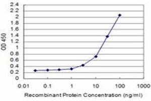 Detection limit for recombinant GST tagged SMAD3 is approximately 1ng/ml as a capture antibody. (SMAD3 抗体  (AA 1-110))