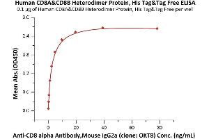 Immobilized Human CD8A&CD8B Heterodimer Protein, His Tag&Tag Free (ABIN6973026) at 1 μg/mL (100 μL/well) can bind Anti-CD8 alpha Antibody, Mouse IgG2a (clone: OKT8) with a linear range of 0. (CD8 Protein (CD8) (AA 22-182) (His tag))