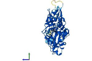 AlphaFold protein structure predicition of Human Recombinant ACTRT1 Protein, UniprotID Q8TDG2