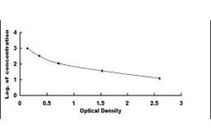 Fibroblast Growth Factor 7 (FGF7) ELISA Kit