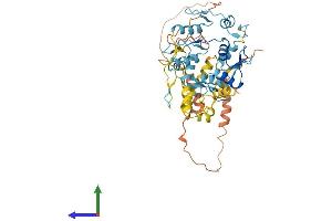AlphaFold protein structure predicition of Human Recombinant ZNF223 Protein, UniprotID Q9UK11 (ZNF223 Protein (AA 1-482) (His tag))