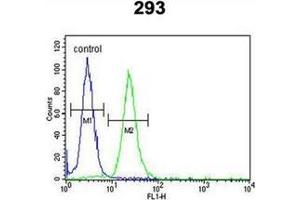 Flow cytometric analysis of 293 cells using LMBR1L Antibody (C-term) Cat. (LMBR1L 抗体  (C-Term))