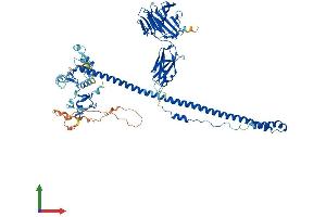 Protein Structure (PS) image for Tripartite Motif Containing 9 (TRIM9) (AA 1-710) protein (His tag) (ABIN7555821)