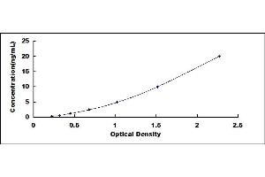 Typical standard curve (QSOX1 ELISA 试剂盒)