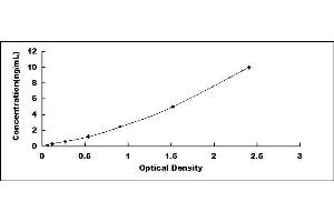 Typical standard curve (BACE1 ELISA 试剂盒)