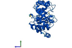 Protein Structure (PS) image for Deoxyribose-Phosphate Aldolase (DERA) (AA 1-318) protein (His tag) (ABIN7547020)