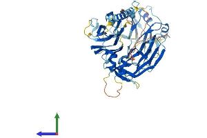 AlphaFold protein structure predicition of Mouse Recombinant Fam234a Protein, UniprotID Q8C0Z1