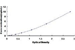 Typical standard curve (ICAM2 ELISA 试剂盒)