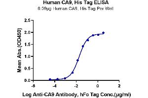 ELISA image for Carbonic Anhydrase IX (CA9) (AA 38-414) protein (His-Avi Tag) (ABIN7274014)