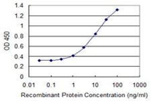 Detection limit for recombinant GST tagged WDR13 is 0. (WDR13 抗体  (AA 391-484))