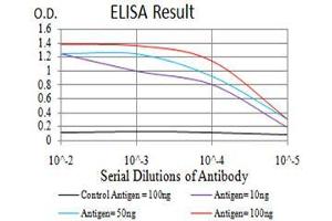 Black line: Control Antigen (100 ng), Purple line: Antigen(10 ng), Blue line: Antigen (50 ng), Red line: Antigen (100 ng),