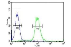 XRCC6 antibody flow cytometric analysis of HeLa cells (green) compared to a negative control (blue).