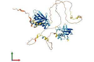 Protein Structure (PS) image for SHC (Src Homology 2 Domain Containing) Transforming Protein 3 (SHC3) (AA 1-474) protein (His tag) (ABIN7557665)