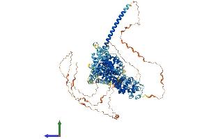 AlphaFold protein structure predicition of Human Recombinant DIAPH3 Protein, UniprotID Q9NSV4