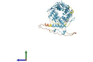 AlphaFold protein structure predicition of Human Recombinant ZNF443 Protein, UniprotID Q9Y2A4