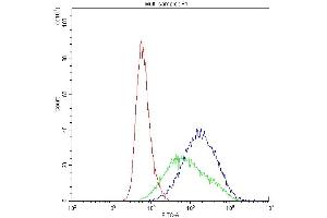 Flow Cytometry analysis of Hela cells using anti-CYP1A1 antibody (ABIN3043819).